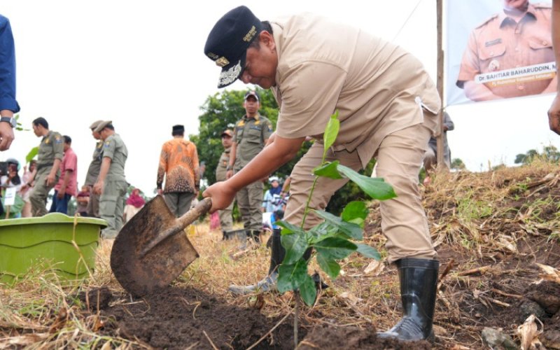 TANAM NANGKA. Pj Gubernur Sulsel, Bahtiar Baharuddin, menanam bibit nangka madu di Desa Beroangin, Kecamatan Bangkala Barat, Kabupaten Jeneponto, Sabtu (9/3/2024). foto: istimewa