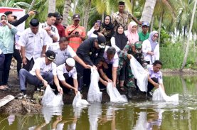 2,1 Juta Benih Ikan Air Tawar Sudah Ditebar di Bone