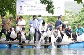200 Ribu Benih Ikan Nila Ditebar di Barru