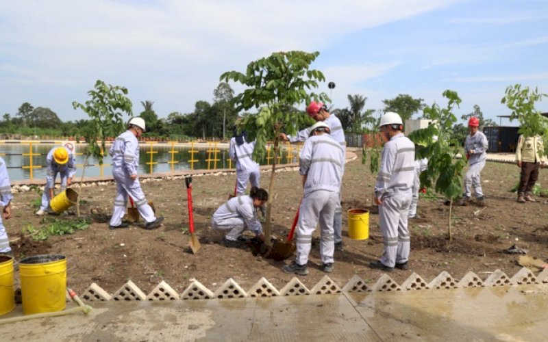 TANAM POHON. Manajemen PT Baoshuo Taman Industri Investment Group (BTIIG) atau yang lebih dikenal Huabao Indonesia menggelar kegiatan penanaman pohon di dalam areal industri di PLTU, Senin (12/3/2024). foto: istimewa