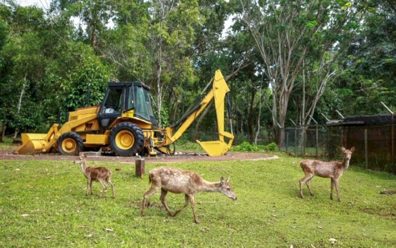 Ilustrasi. foto: istimewa