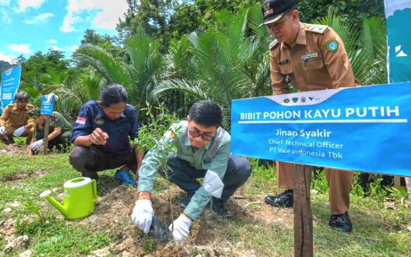 PEDULI. PT Vale Indonesia secara resmi menyerahkan bibit pohon untuk Kawasan Wisata Rammang-rammang, Kabupaten Maros, Senin (4/3/2024). foto: istimewa
