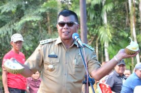 Pemkab Bulukumba Bantu Petani Bibit Unggul dan Pembersihan Lahan