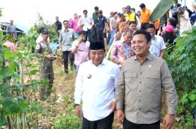 Bersama Pj Gubernur Sulsel, Komisi V DPR RI Pastikan Kesiapan Lahan Pembangunan Stadion di Makassar