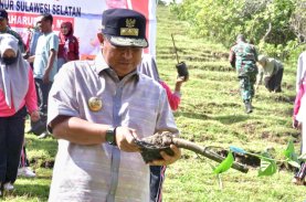 Banjir Kembali Landa Luwu, Pj Gubernur Prihatin Kondisi Lingkungan di Sulsel