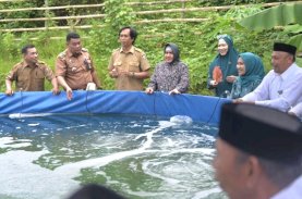 Indira Tebar Benih Udang Vaname di Tanjung Merdeka