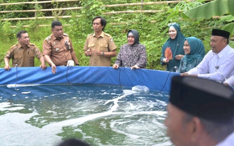 TEBAR BENIH. Ketua TP PKK Kota Makassar, Indira Jusuf Ismail, menebarkan benih udang vaname di Kelurahan Tanjung Merdeka, Kecamatan Tamalate, Kota Makassar, Senin (29/4/2024). foto: istimewa