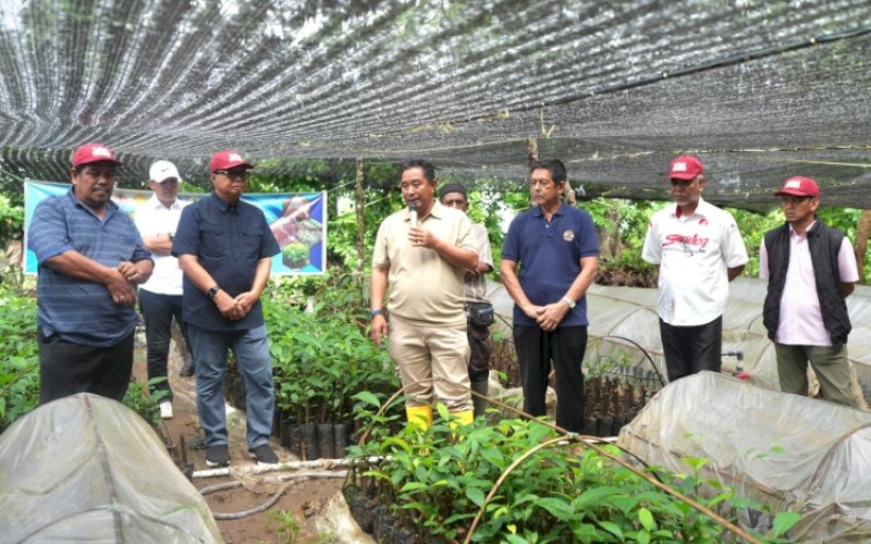 KUNJUNGAN. Pj Gubernur Sulbar Bahtiar Baharuddin didampingi Sekda Provinsi Sulbar Muhammad Idris dan jajaran Pimpinan OPD mengunjungi lokasi pembibitan pohon sukun di Bone. foto: istimewa