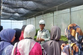 Pelatihan Kurikulum Vale, Kolaborasi untuk Pendidikan Berkualitas di Loeha Raya
