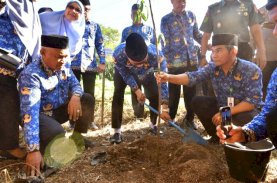 Pj Gubernur Canangkan Gerakan Sulsel Menanam, Satu Pohon Tiap KK