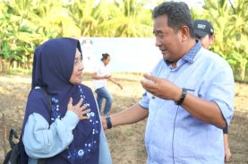Warga Sulbar Penasaran Pisang Cavendish