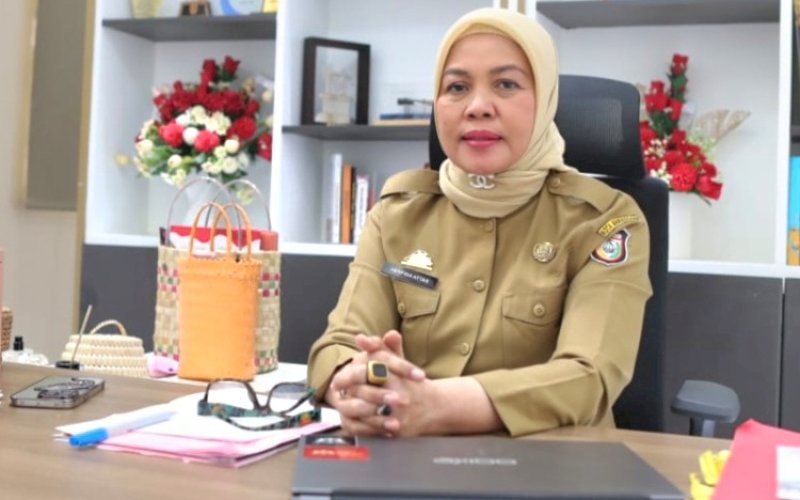 Andi Herfida Attas. foto: istimewa