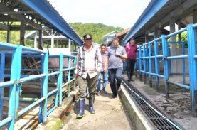 Pemprov-DPRD Sulbar Sepakat Bentuk Dinas Peternakan
