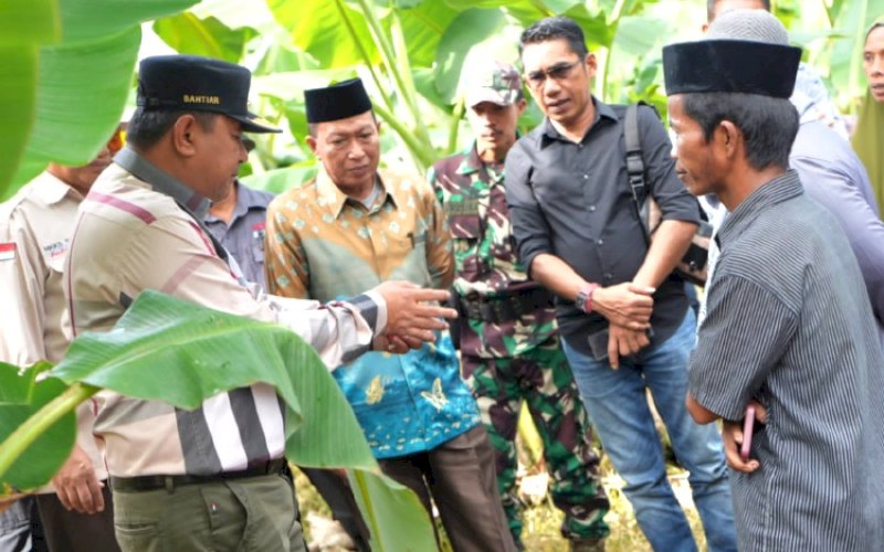 Serius Industrikan Pisang Kepo di Sulbar, Pj Gubernur Boyong OPD Studi Lapang di Maros