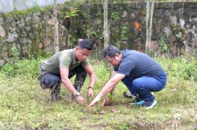Dorong Budaya Tanam Pohon untuk Cegah Longsor di Aralle