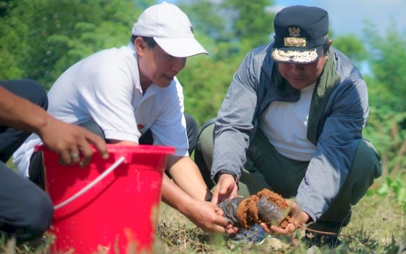 TANAM POHON. Pj Gubernur Sulbar, Bahtiar Baharuddin, menanam pohon saat meninjau Jumat Bersih dan Penanaman Pohon yang digelar Dinas Perpustakaan dan Kearsipan Daerah Provinsi Sulbar, Jumat (26/7/2024). foto: istimewa