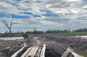 Siapkan Lahan 1.000 Ha, Kadis DKP Sulbar: Kita Usulkan ke Investor Sektor Kelautan
