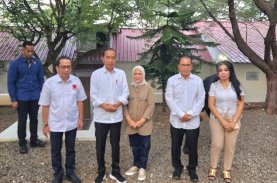 Projo Lapor ke Jokowi, Siap Menangkan Danny Pomanto di Pilgub Sulsel 2024