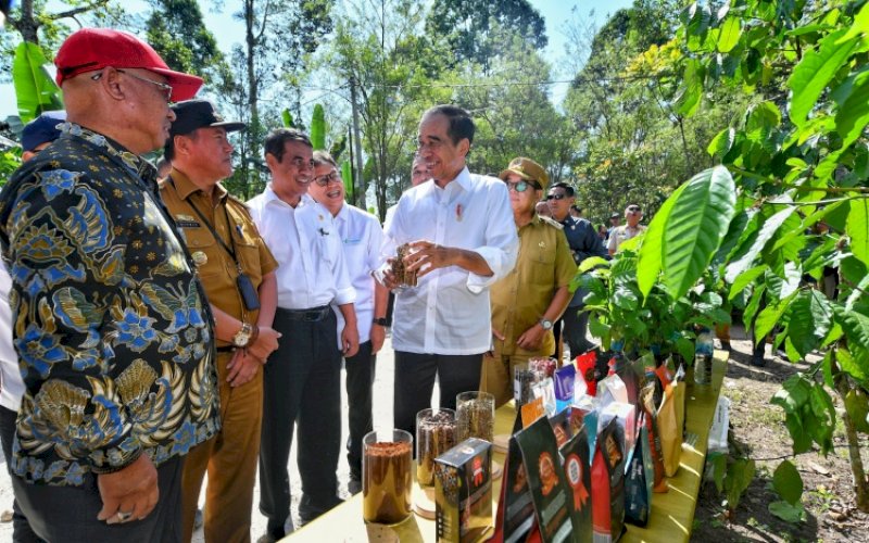 PENINJAUAN. Presiden Joko Widodo (Jokowi) didampingi Menteri Pertanian (Mentan) Andi Amran Sulaiman meninjau perkebunan kopi di Desa Kambahang, Kecamatan Batubrak, Kabupaten Lampung Barat, Provinsi Lampung, Jumat (12/7/2024). foto: istimewa