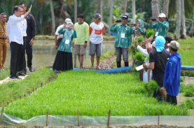 Pj Gubernur Sulsel Dampingi Presiden dan Mentan Kunjungan Kerja di Bone