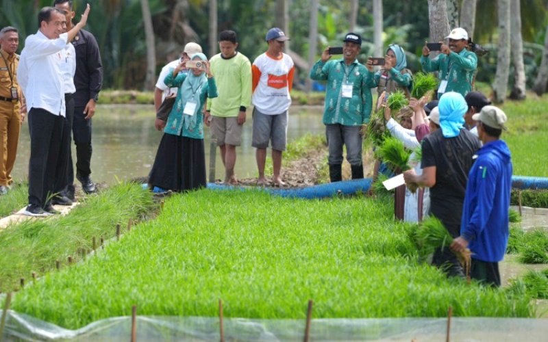 MENYAPA. Presiden Joko Widodo menyapa petani di Desa Jaling, Kecamatan Awangpone di sela-seoa kunjungan kerja di Kabupaten Bone, Sulsel, Kamis (4/7/2024). foto: istimewa