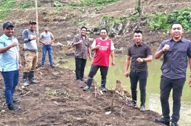 Pj Gubernur Terbar Bibit Kangkung hingga Timun di Area Kolam Nila Pemprov Sulbar