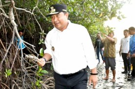Pj Gubernur Tebar Ribuan Kepiting di Mamuju, Upaya Memerdekakan Rakyat Sulbar dari Kemiskinan