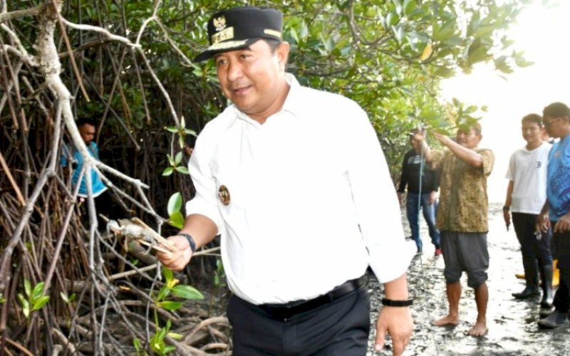 TEBAR KEPITING. Pj Gubernur Sulbar, Bahtiar Baharuddin, menebar bibit kepiting di Hutan Bakau, Desa Bambu dan Desa Sumare, Kabupaten Mamuju, Sulbar, Jumat (16/8/2024). foto: istimewa