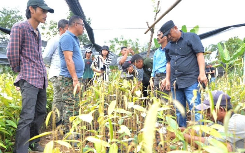 KUNJUNGAN. Pj Gubernur Sulbar, Bahtiar Baharuddin, mengunkungi pusat pembibitan hortikultura di Desa Batu Karopa, Kecamatan Rilau Alle, Kabupaten Bulukumba, Rabu (31/7/2024). foto: istimewa