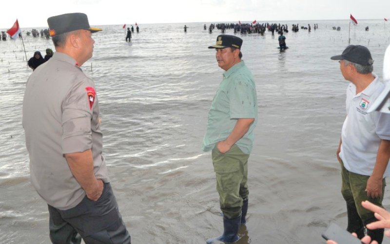 TANAM MANGROVE. Pj Gubernur Sulbar, Bahtiar Baharuddin, bersama Forkopimda dan masyarakat Sulbar melakukan penanaman 20 ribu bibit mangrove di Pantai Ampallas, Kelurahan Bebanga, Kecamatan Kalukku, Kabupaten Mamuju, Minggu (18/8/2024). foto: istimewa