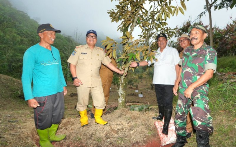 TANAM POHON. Pj Gubernur Sulbar Bahtiar Baharuddin bersama Sekda Provinsi Sulbar Muhammad Idris menanam pohon saat berkunjung ke Kecamatan Ulumanda dan Malunda, Kabupaten Majene, Sulbar, Senin (19/8/2024). foto: istimewa