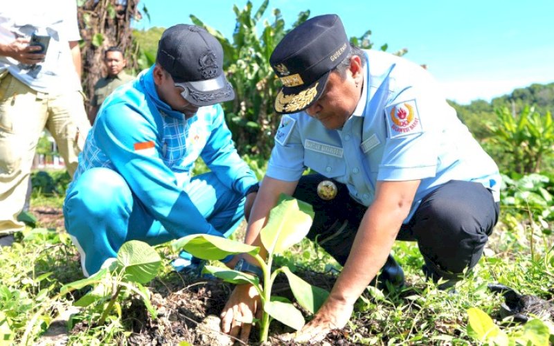 TANAM SUKUN. Pj Gubernur Sulbar, Bahtiar Baharuddin, melakukan penanaman pohon sukun di Mata Uwai, Kelurahan Rangas, Kecamatan Simboro, Kabupaten Mamuju, Sulbar, Jumat (23/8/2024). foto: istimewa