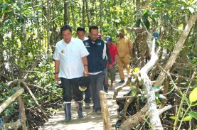 Hari Jadi Sulbar Ke-20, Pj Gubernur Imbau Masyarakat Sepekan Menanam Mangrove