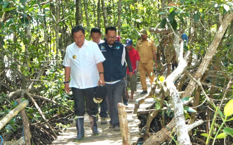 TANAM MANGROVE. Pj Gubernur Sulbar, Bahtiar Baharuddin, meninjau hutan mangrove. Bahtiar mengimbau kepada seluruh masyarakat di Provinsi Sulbar mendukung aksi Sepekan Menanam Mangrove dalam rangka memperingati Hari Jadi Sulbar ke-20. foto: istimewa