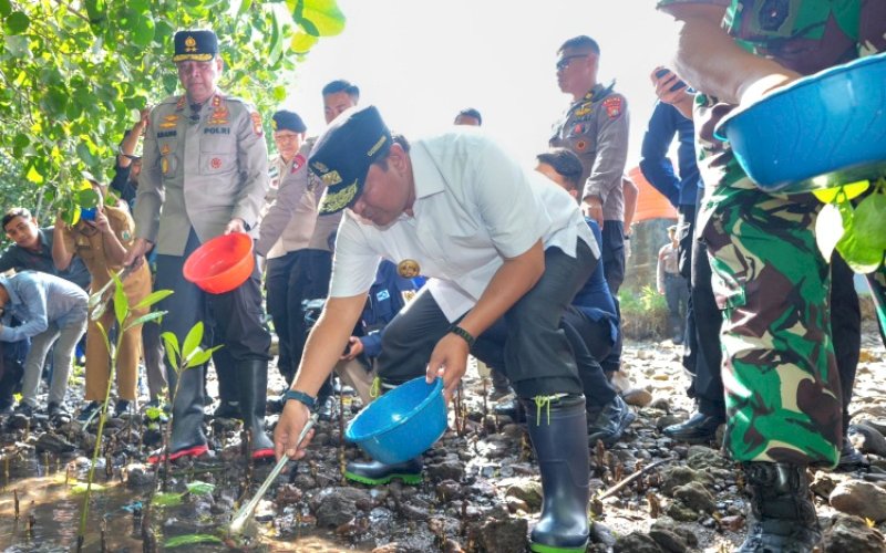 PENEBARAN. Pj Gubernur Sulbar, Bahtiar Baharuddin, bersama seluruh Forkopimda Sulbar kembali menebar benih kepiting di hutan bakau area Pangkalan Polairud Polda Sulbar, Kecamatan Kalukku, Kabupaten Mamuju, Sulbar, Selasa (20/8/2024). foto: istimewa