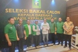 Danny Pomanto Amankan PPP Bertarung di Pilgub Sulsel 2024