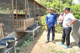Pj Gubernur Sulbar Diskusi dengan Petani dan Peternak di Polman