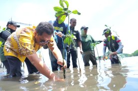 Peduli Lingkungan dan Hidupkan Wisata Mangrove, Munajib: Terima Kasih Gubernur Sulbar