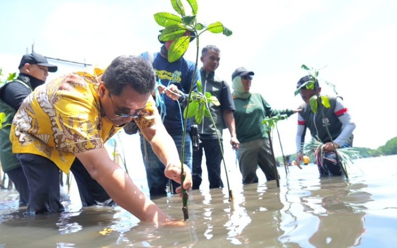 TANAM MANGROVE. Pj Gubernur Sulbar, Bahtiar Baharuddin, bersama sejumlah OPD dan msyarakat melakukan penanaman mangrove di Kelurahan Bebanga, Kecamatan Kalukku, Kabupaten Mamuju, Sulbar, Sabtu (7/9/2024). foto: istimewa