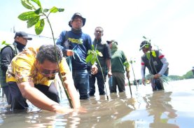 Sepekan Menanam Mangrove, Pj Gubernur Sulbar: Terima Kasih dan Ini Perlu Berkelanjutan