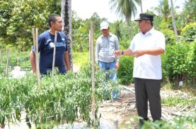 Pj Gubernur Sulbar Temui Petani Sampaga