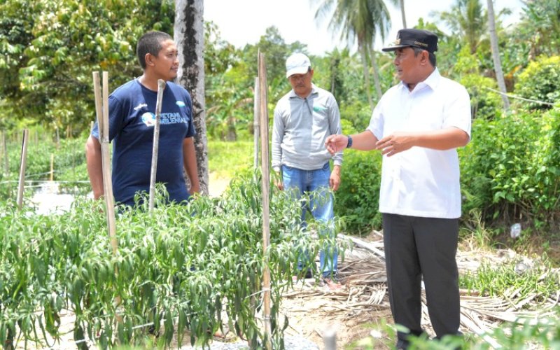 KUNJUNGAN. Pj Gubernur Sulbar, Bahtiar Baharuddin, merealisasikan kunjungan ke Desa Salubarana, Kecamatan Sampaga, Kabupaten Mamuju, Sulbar, Sabtu (14/9/2024). foto: istimewa
