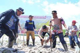 Pj Gubernur Sulbar Bersama Forkopimda Kompak Galakkan Penanaman Mangrove