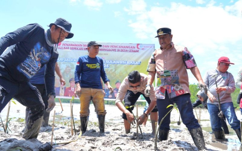 TANAM MANGROVE. Pj Gubernur Sulbar, Bahtiar Baharuddin, bersama Forkopimda Sulbar melanjutkan gerakan Sepekan Menanam Mangrove di Pantai Batu Lombeng, Desa Lebani, Kabupaten Mamuju, Sulbar, Minggu (8/9/2024). foto: istimewa