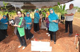 Pj Ketua PKK Sulsel Resmikan Taman Herbal Makassar