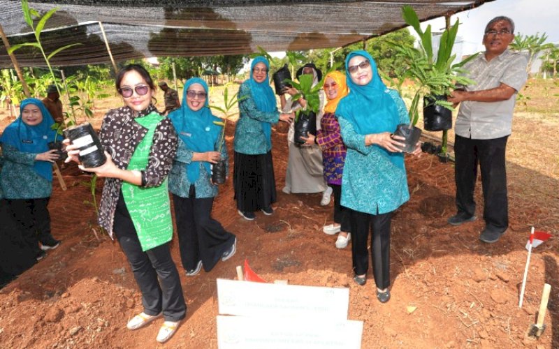 PERESMIAN. Pj Ketua TP PKK Provinsi Sulsel, Ninuk Triyanti Zudan, meresmikan Taman Herbal Makassar yang dikelola Dinas Tanaman Pangan, Hortikultura, dan Perkebunan (TPHBun) Provinsi Sulsel di Sudiang, Kota Makassar, Selasa (24/9/2024). foto: istimewa