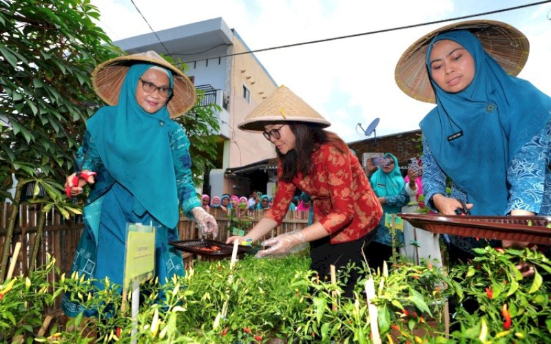 KUNJUNGAN. Pj Ketua TP PKK Provinsi Sulsel, Ninuk Triyanti Zudan, bersama jajaran mengunjungi Lorong PKK Mangasa di Kelurahan Mangasa, Kecamatan Tamalate, Kota Makassar, Rabu (16/10/2024). foto: istimewa