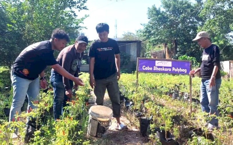 PANEN PERDANA. Ketua Pengda PJI Sulsel, Syafril Rahmat, Bersama pengurusnya usai panen perdana di Kebun Organik PJI Sulsel, Jl Perintis Kemerdekaan, Kota Makassar, Minggu (6/10/2024). foto: istimewa