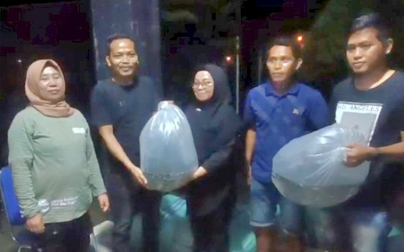 BANTUAN. Pemprov Sulbar memberikan kepercayaan kepada Pemuda Pelopor Kemandirian Pangan Sulbar menyerahkan bantuan bibit ikan nila kepada petani kurang lebih 200.000 ribu benih. foto: istimewa