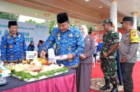 HKN Ke-60, Pj Gubernur Sulbar Tekankan Kepala Daerah Memberikan Perhatian Serius Pertumbuhan Ekonomi